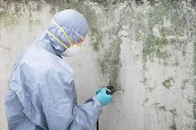 Biohazard Mold Removal in Hot Springs, SD